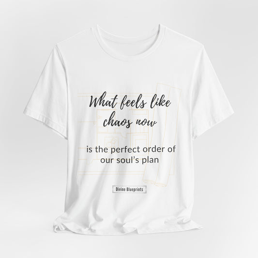Divine Blueprint Soul Growth Shirt – What Feels Like Chaos Is the Perfect Order of Our Soul’s Plan